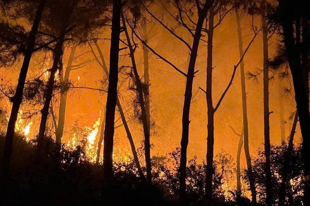 Nghe An省タンチャウ村で夜間に発生した激しい森林火災の現場。写真:Ngoc Anh