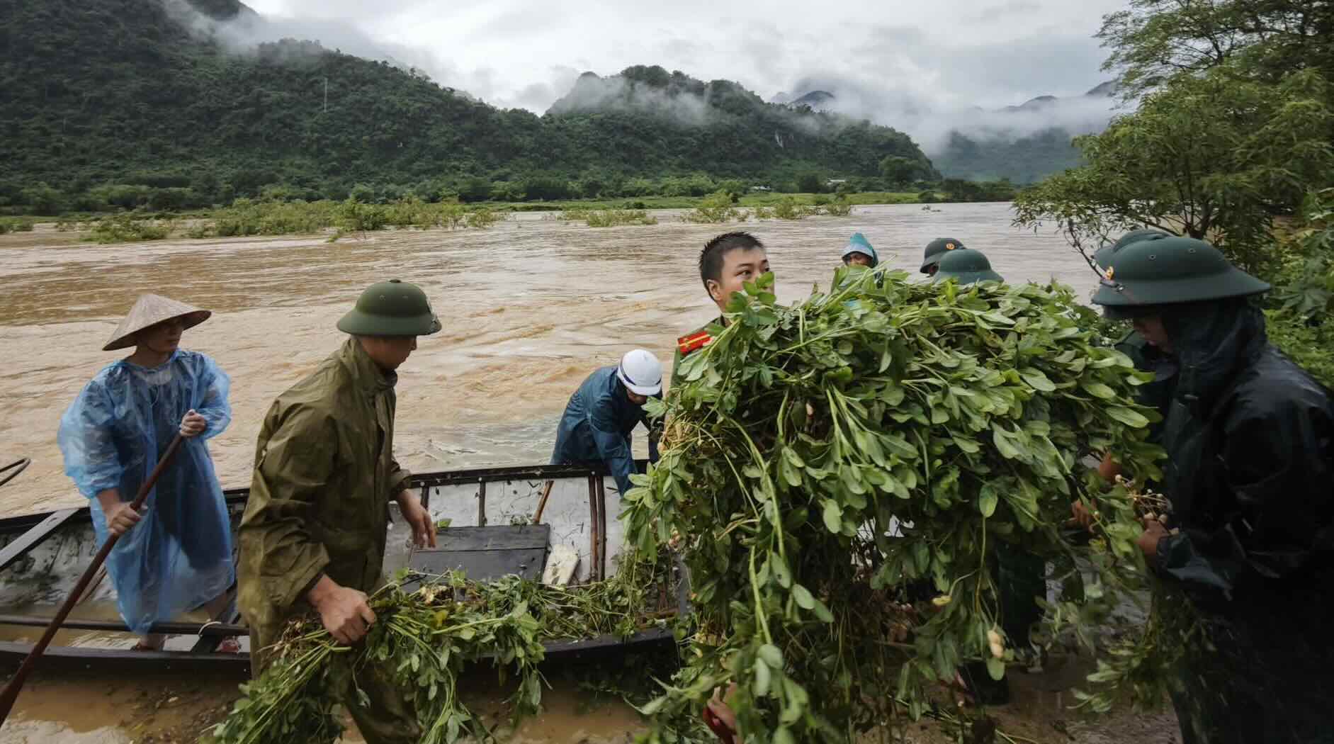 Nho luc luong Cong an va Bien phong, so luong lon lac cua nguoi dan duoc thu hoach kip thoi. Anh: Cong an xa Truong Son
