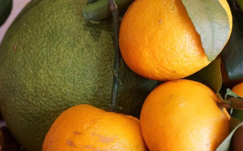 Grapefruit has many health benefits. Photo: Thanh Thanh