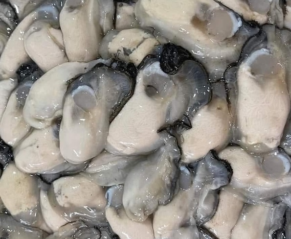 Oysters are one of the foods that supplement zinc that is good for bones. Photo: Kieu Vu