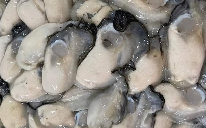 Oysters are one of the foods that supplement zinc that is good for bones. Photo: Kieu Vu