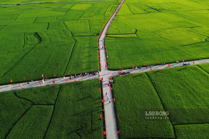 Anh: Quang Dat