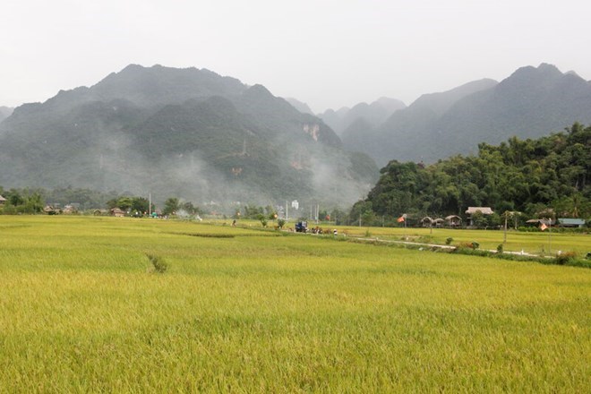 多くの土地に関する規定が改正、補足されました。写真:Huy Hung