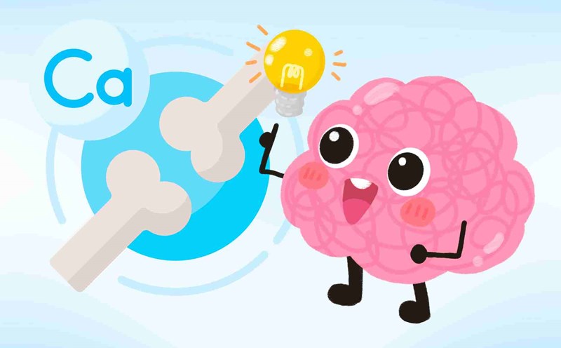 Fish rich in calcium, effectively nourish the brain for the elderly