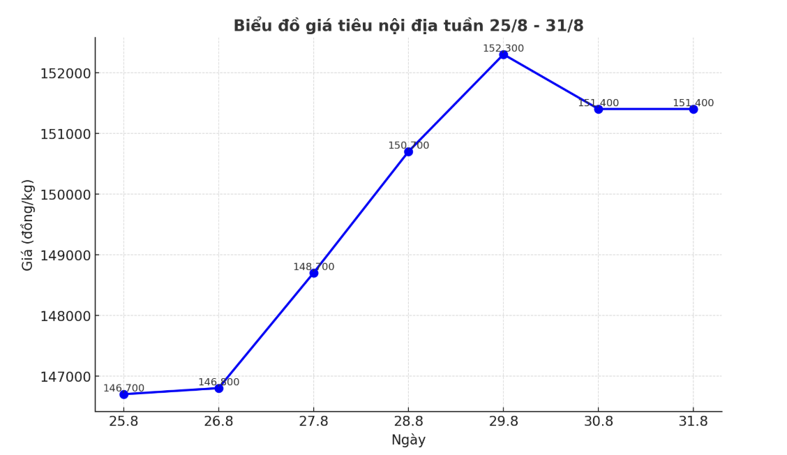 Xu huong tang cua gia tieu noi dia tu 25.8 den 31.8.2025, tang cao nhat 8.000 dong/kg. Anh: Thanh Binh
