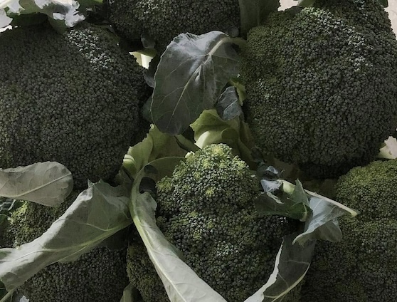 Dark green leafy vegetables such as broccoli are a calcium supplement to help lower blood pressure. Photo: Kieu Vu