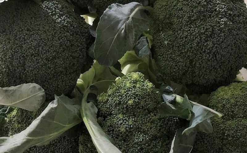 Dark green leafy vegetables such as broccoli are a calcium supplement to help lower blood pressure. Photo: Kieu Vu