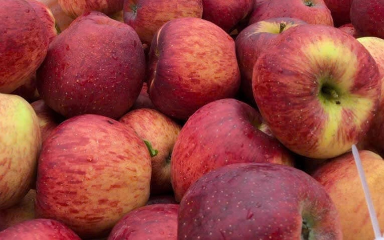 Apples are one of the fruits rich in fiber, good for liver function. Photo: Kieu Vu