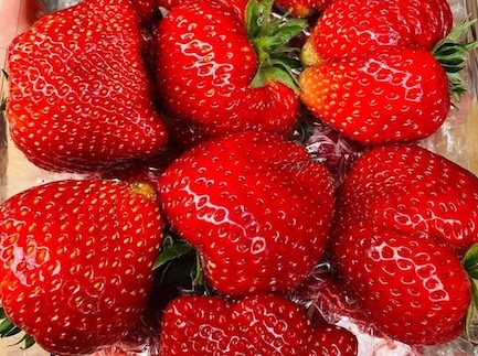 ダオは腹部の脂肪を効果的に減らすのに役立つ可能性があります。写真:キエウ・ヴー