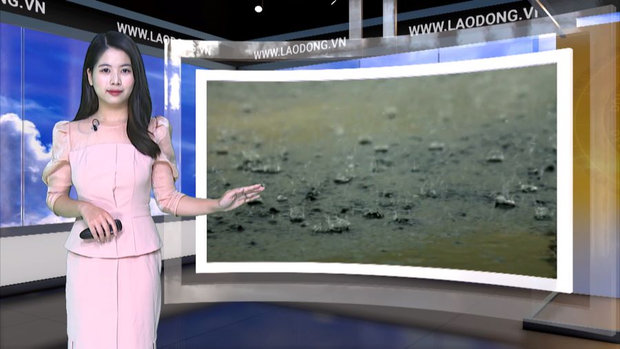 Weather forecast for tonight and tomorrow 1.9