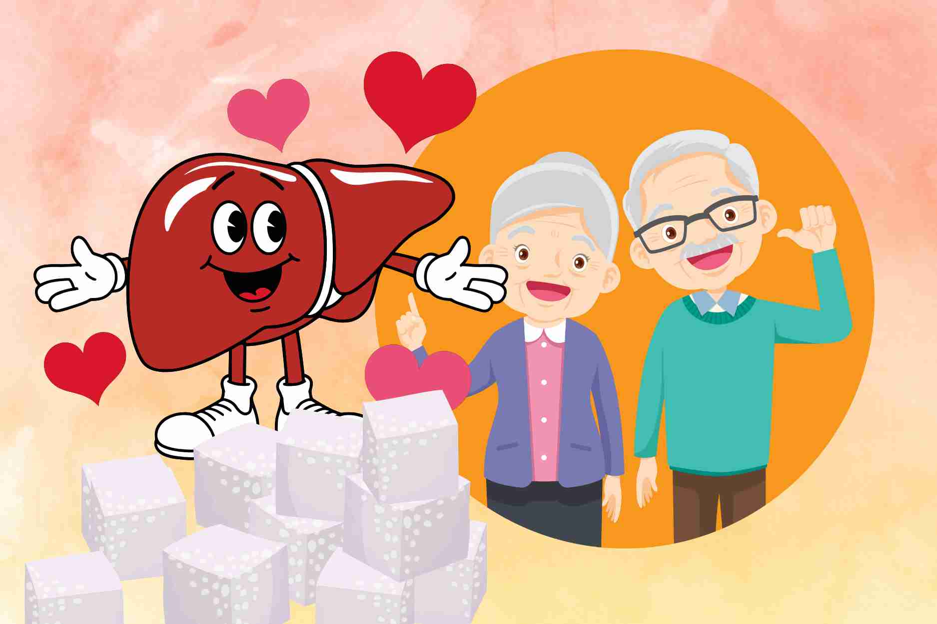 Reasonable sugar intake helps reduce liver burden for the elderly