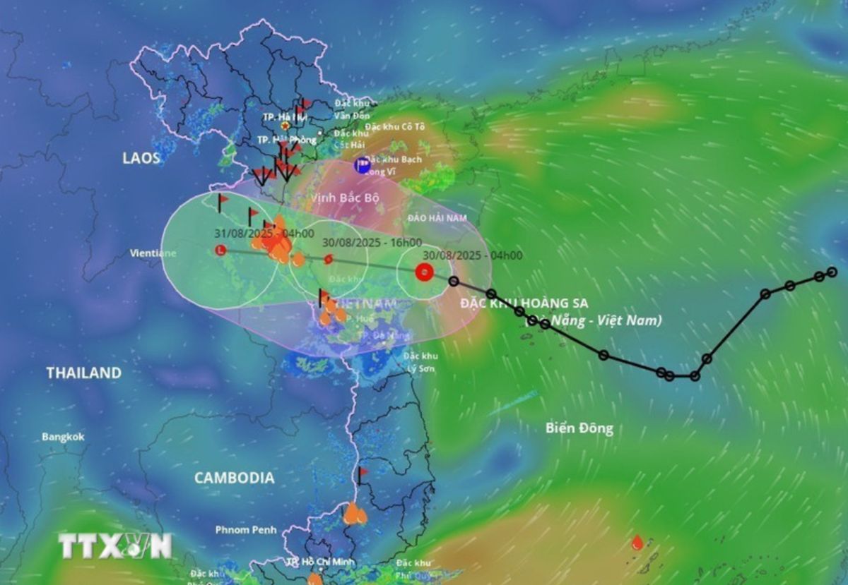 Storm No. 6 originated from a low pressure area in the Philippines, entered the East Sea and caused heavy rain in coastal provinces of Vietnam on August 29-31. Photo: VNA