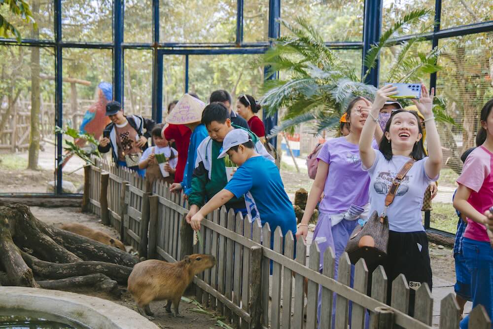 Vuon thu voi loi thiet ke khong gian mo giup du khach duoc gan gui hon voi dong vat va trai nghiem cam giac cho thu an. Anh: Nhom PV