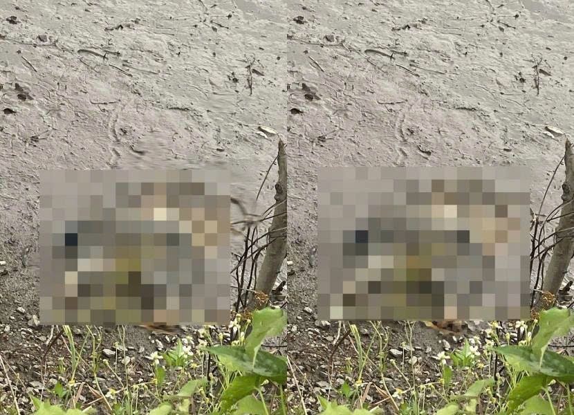 호치민시 Xang 운하변에서 부패된 시신 사진. 사진: Dong Hoang