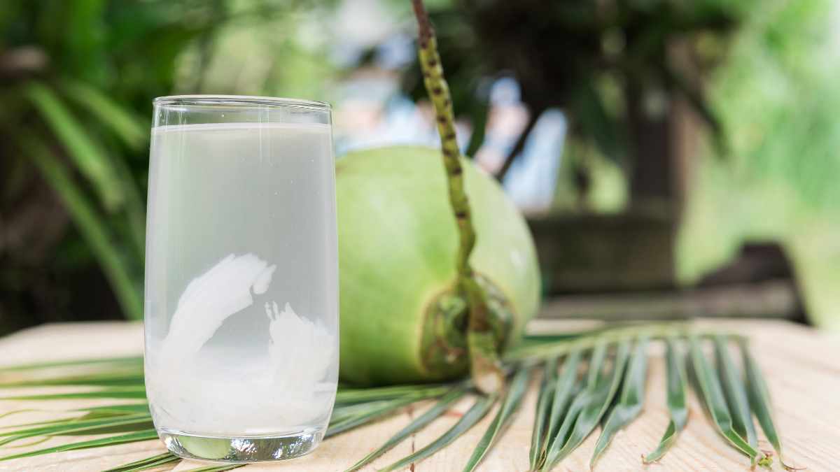Is drinking 1 coconut fruit a day good for your health? Photo: CV