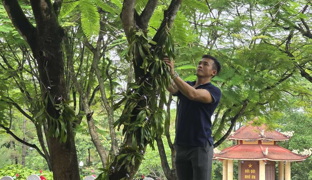 contributions to buying fertilizer attached to trees to beautify cemeteries. Photo: Hung Tho