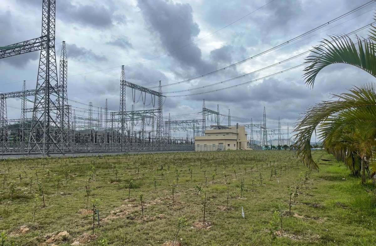 Area del jardin de cultivo de sims en el recinto de la central termica de Mong Duong 1. Foto: Lan Anh