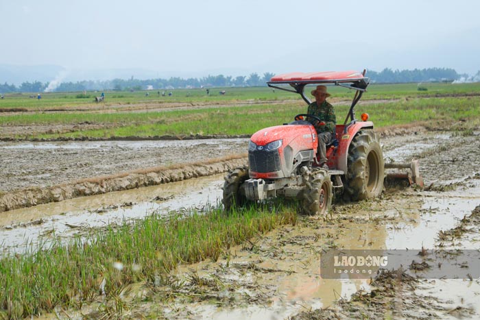Decision No. 105 clearly states the need to mobilize potential and promote the strengths of localities in participating in implementing national target programs. Photo: Quang Dat