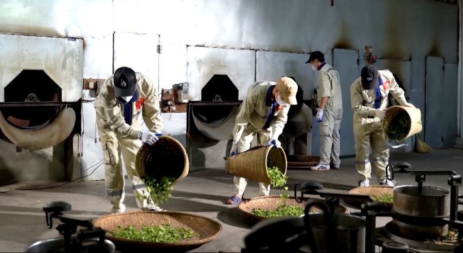 빈투언 종합 사업 및 서비스 협동조합 빈투언사 협동조합은 많은 지역 노동자에게 안정적인 일자리를 제공합니다. 사진: 투항