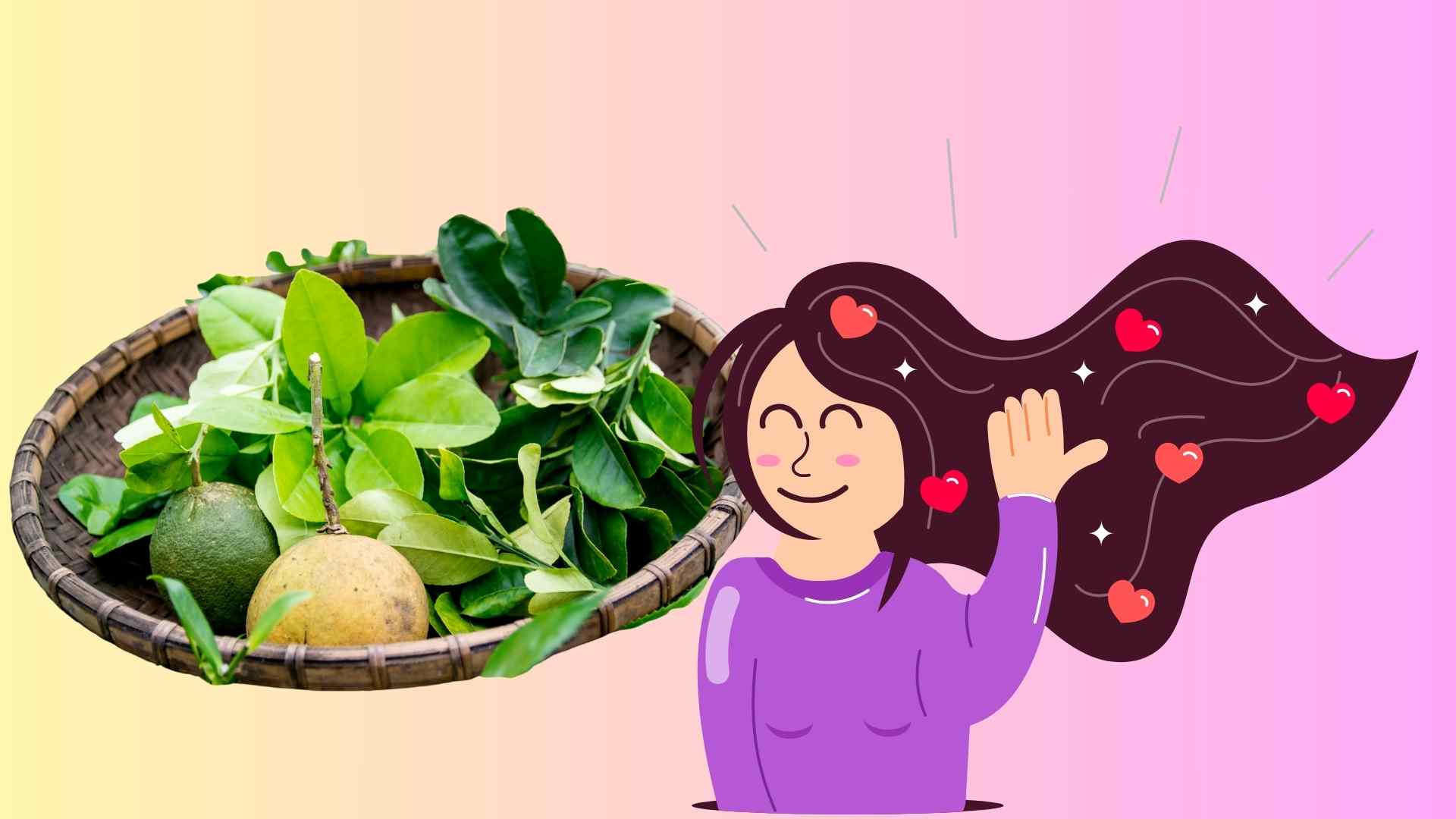 자몽 잎에는 에센셜 오일과 항염증제가 풍부하여 탈모를 줄이고 모발 성장을 효과적으로 촉진하는 데 도움이 됩니다. 그래픽 이미지: 호앙록