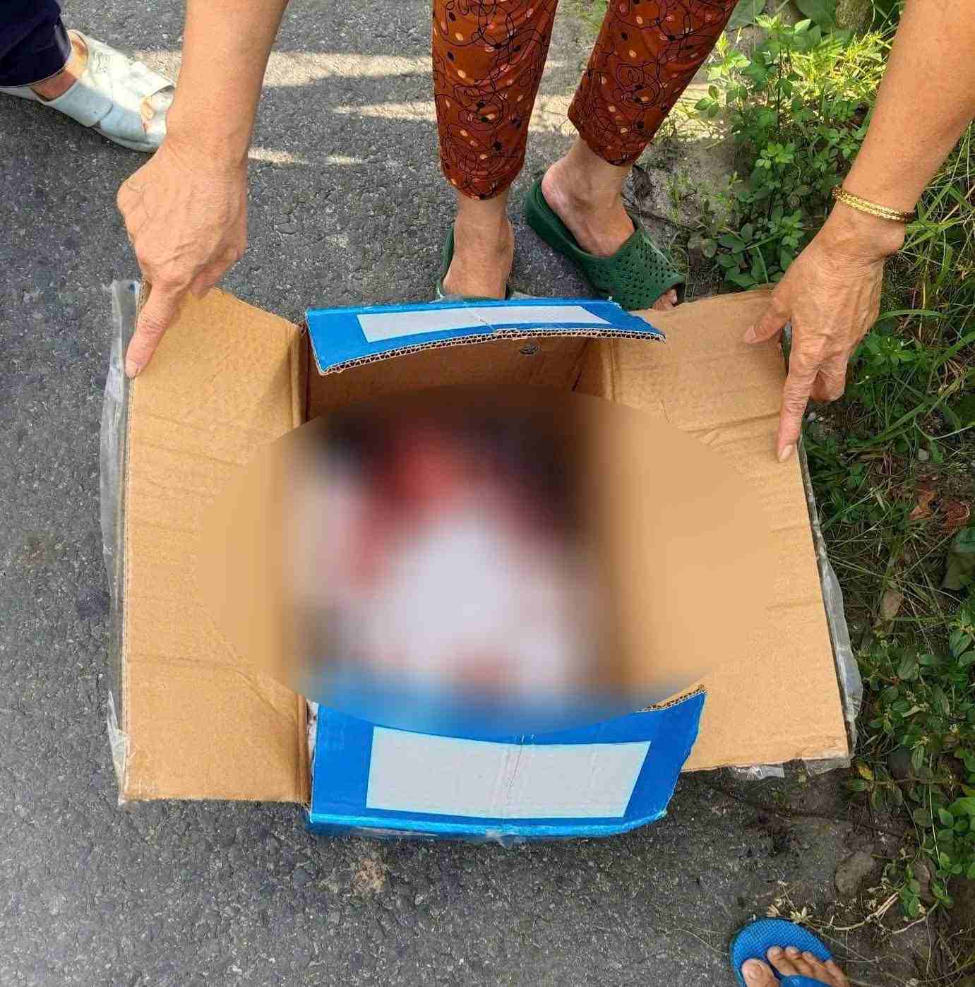 道路脇に置かれた紙箱に捨てられた乳児。写真:読者提供