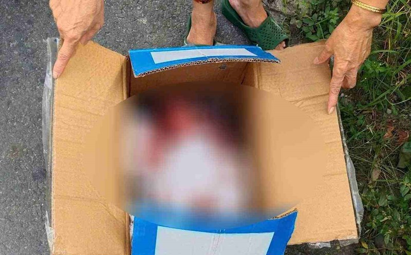 Newborns are abandoned in cardboard boxes on the side of the road. Photo: Provided by readers