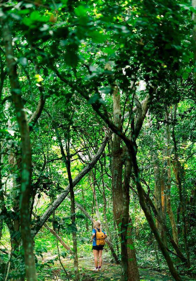 Anh Kim cho biet xuyen suot doc duong di, anh danh nhieu thoi gian de chup hinh, thu gian, ngam canh. Vi da quen thuoc voi viec ren luyen suc khoe, anh khong gap bat cu kho khan nao trong qua trinh hiking.