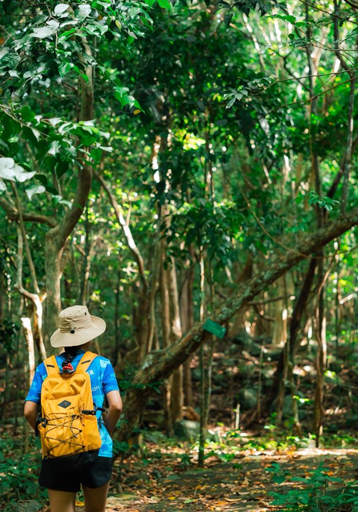 “Ngay khi buoc vao bia rung minh da bi choang ngop boi mot mau xanh mat mat phu khap khong gian. Khong khi trong lanh, sang som con co the cam nhan duoc hoi nuoc mat lanh lan mui la kho rat dac trung. An tuong nhat la doan duong di duoc lat bang xi mang va da, phu day reu xanh - nhin tho mong het nhu trong phim”, nam du khach noi.