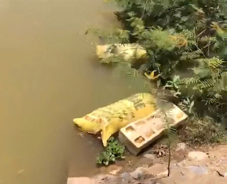 꽝찌(Quang Tri)에서 죽은 돼지를 자루에 넣어 운하 아래에 놓았습니다. 사진: 하이쑤언(Hai Xuan)