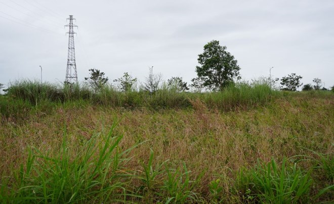 An unfinished residential area project for many years in Quang Ngai City. Photo: Vien Nguyen.