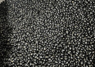 Roasted black bean water is beneficial for healthy people or only have mild kidney failure (as permitted by doctors), but for people with weak kidneys, they need the guidance of a specialist. Photo: Kieu Vu