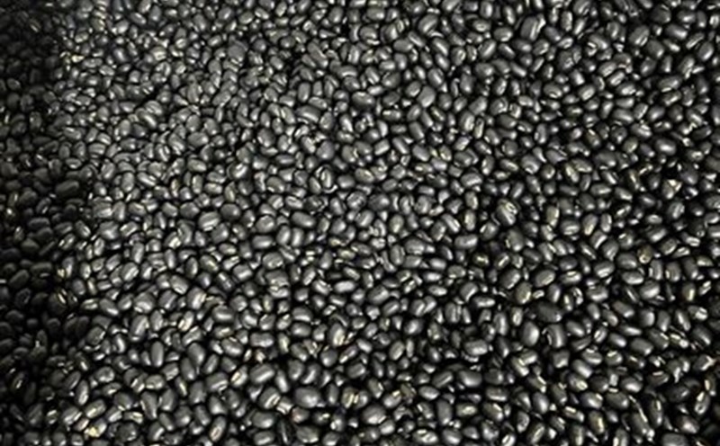 Roasted black bean water is beneficial for healthy people or only have mild kidney failure (as permitted by doctors), but for people with weak kidneys, they need the guidance of a specialist. Photo: Kieu Vu