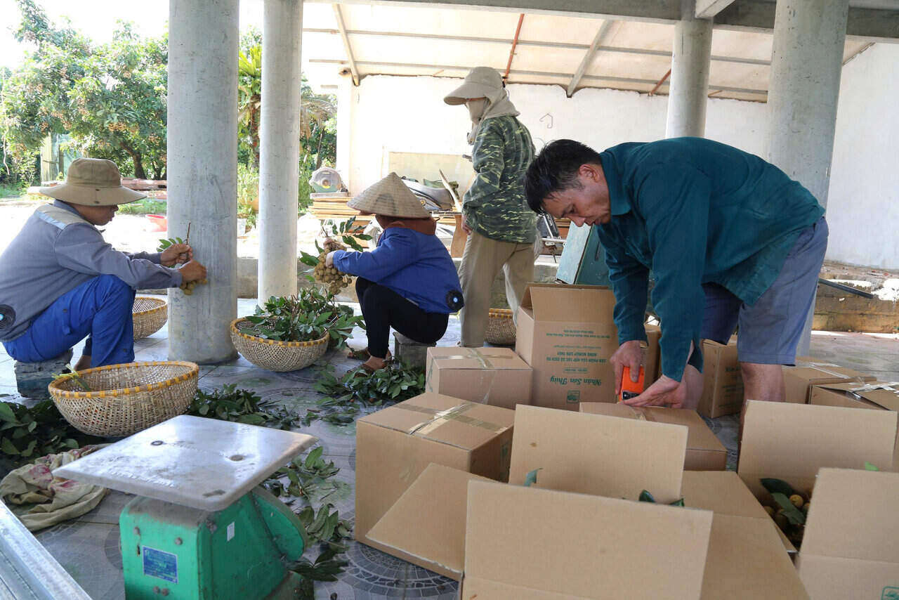Nguoi dan xom Khoang dong nhan vao thung de gui nhan cho khach o xa. Anh: Binh Khang