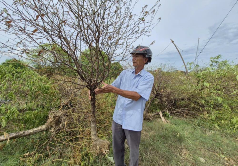 Ong Nguyen Ngoc Vinh bui ngui truoc canh phai nho bo cac goc dao lau nam. Anh Minh Hoang