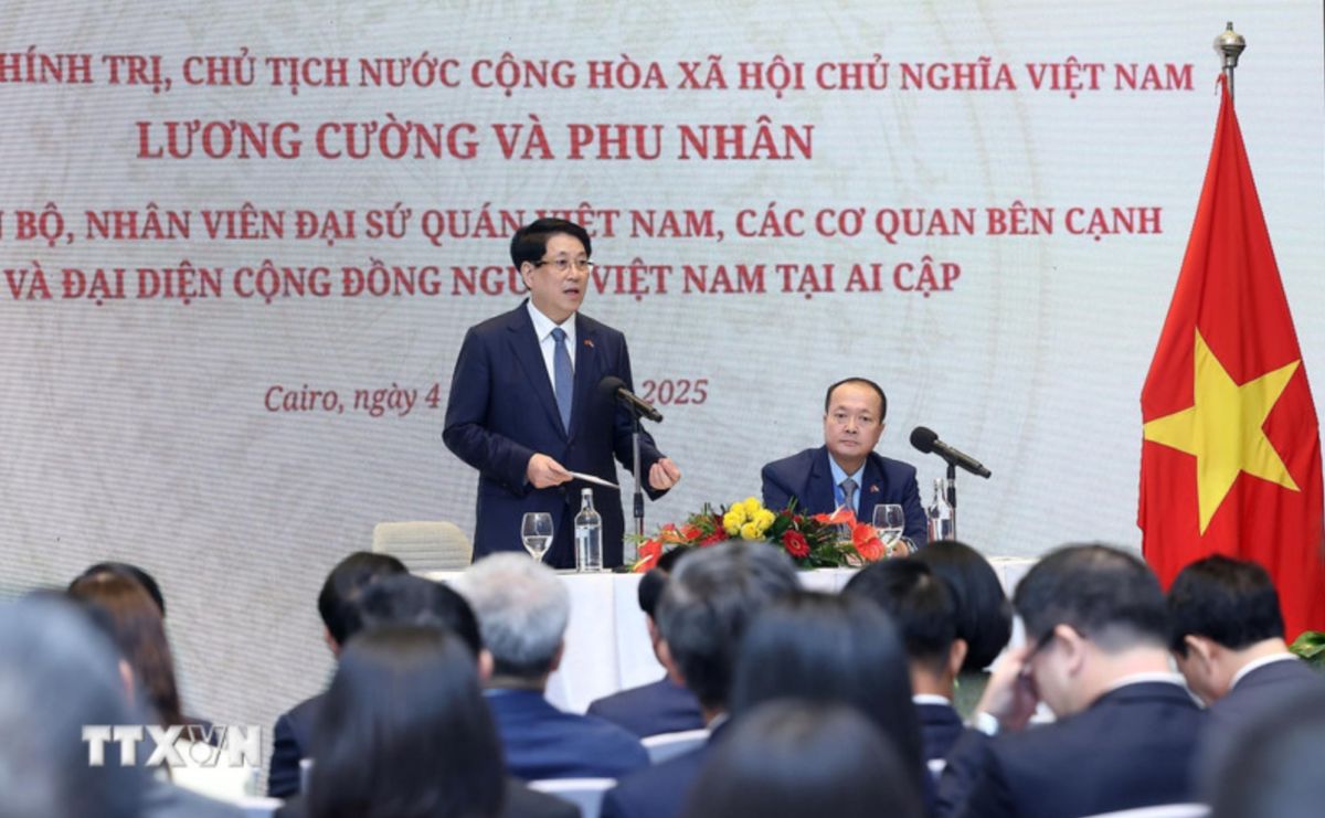 Politburo member and President Luong Cuong spoke with officials and staff of the Embassy, agencies and representatives of the Vietnamese community in Egypt. Photo: VNA