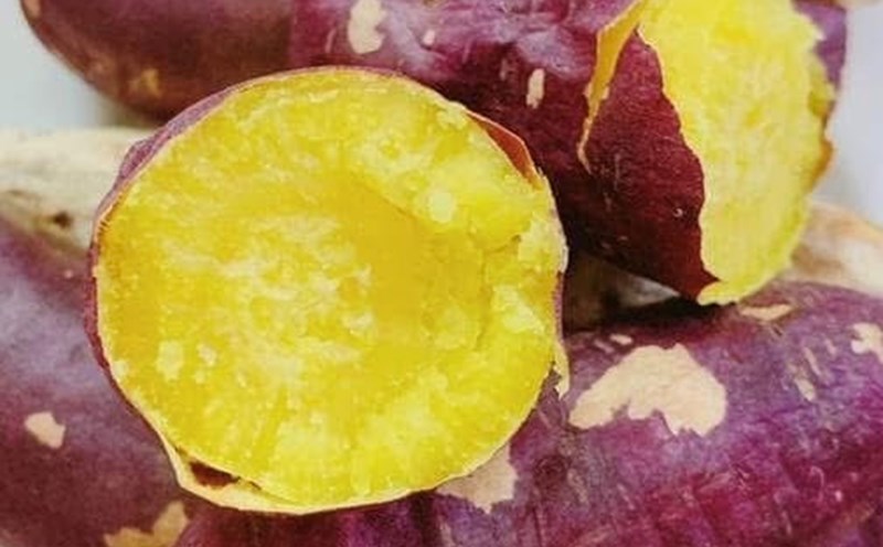 Sweet potatoes contain complex carbohydrates that help stabilize blood sugar, reduce strong insulin resistance - a factor related to micro-mscale damage in the kidneys. Photo: Kieu Vu