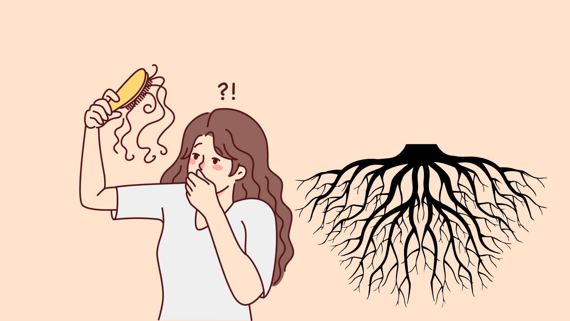 Hoan Kiem root helps treat hair loss effectively. Graphic photo: Hoang Loc