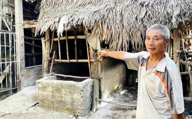 The dermatitis epidemic appeared in cows at Mr. Tran Van Hue's family. Photo: Tran Xuan