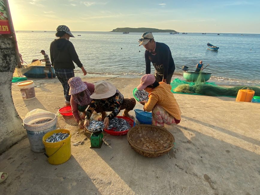 Paysage paisible dans mon village de pecheurs Quang Bac. Photo: Thanh Quynh