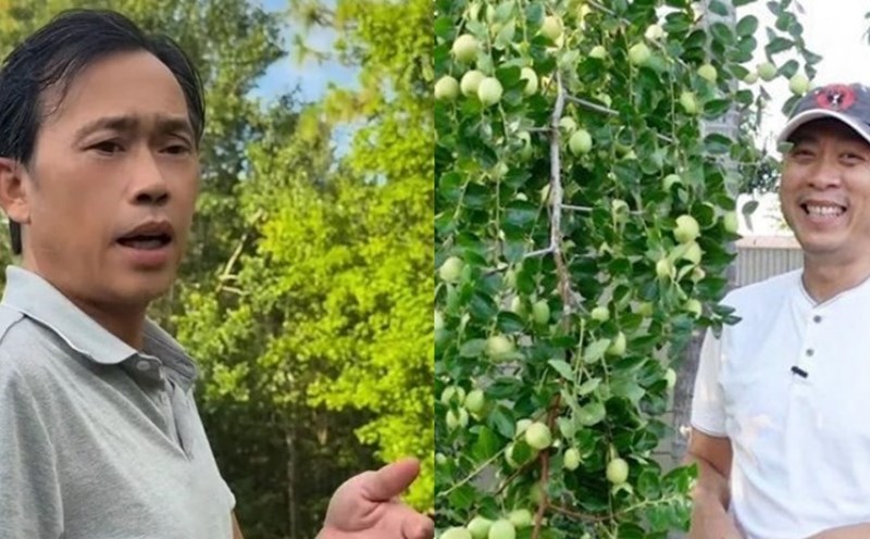 Hoai Linh, Van Son. Photo: Provided by artist Van Son, Dong Hoang.