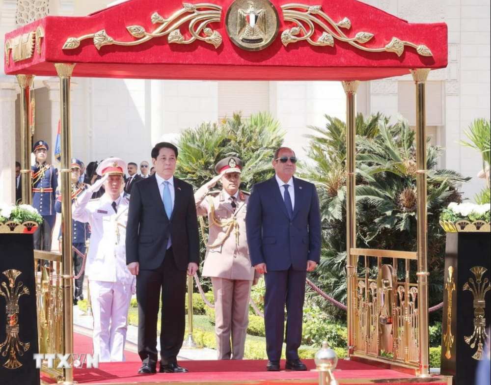 Tong thong Ai Cap Abdel Fattah El-Sisi va Chu tich nuoc Luong Cuong tren buc danh du. Anh: TTXVN