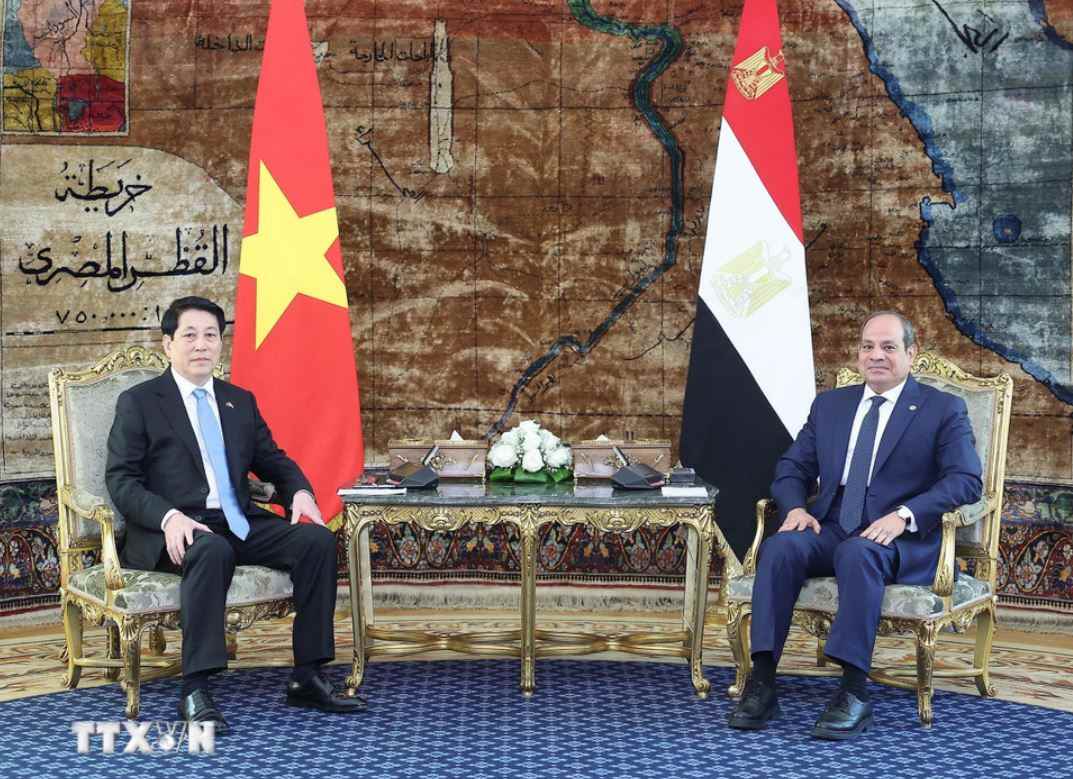 Tong thong Ai Cap Abdel Fattah El-Sisi gap hep Chu tich nuoc Luong Cuong. Anh: TTXVN