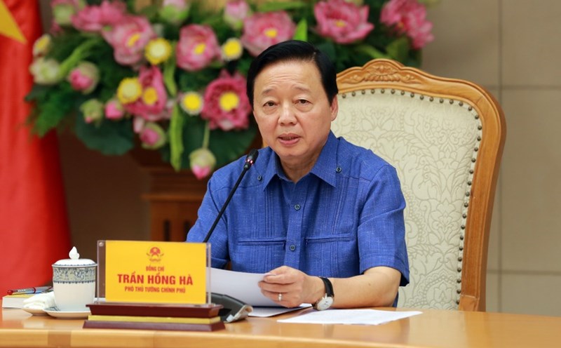 Deputy Prime Minister Tran Hong Ha requested to distinguish between land users for legal production and business and cases of speculation, leaving land fallow. Photo: VGP