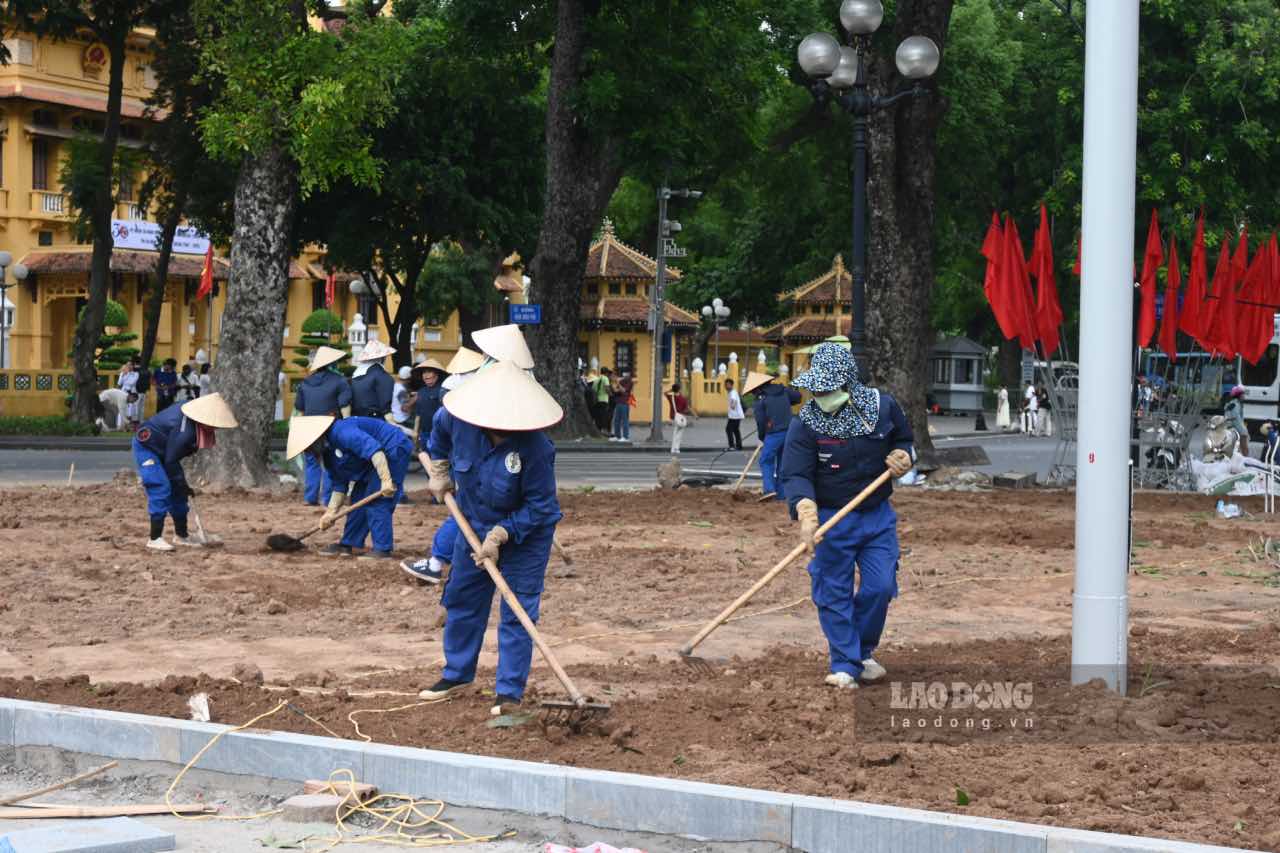 Cong nhan cai tao dat de trong hoa tao canh quan tren duong Doc Lap (TP Ha Noi). Anh: Thanh Nhan