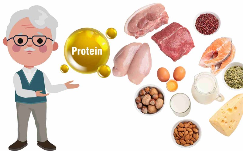 People over 55 years old should supplement more protein. Graphics: Ha May