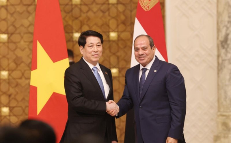 Politburo member and President Luong Cuong and Egyptian President Abdel Fattah El-Sisi at the press conference. Photo: VNA