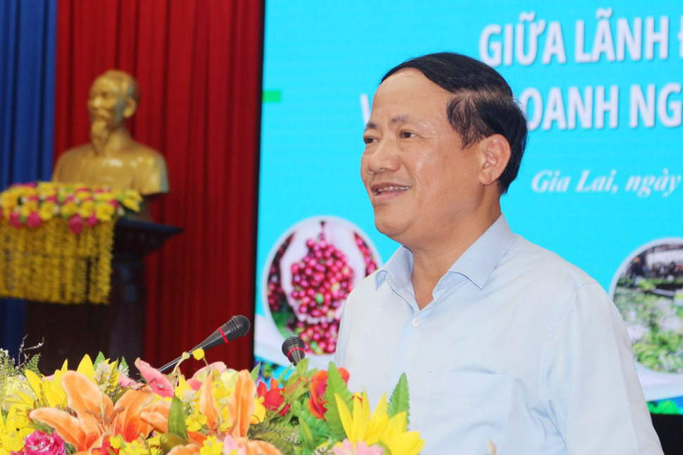 Chairman of Gia Lai Provincial People's Committee Pham Anh Tuan dialogues with businesses in the province. Photo: Gia Lai Information Portal