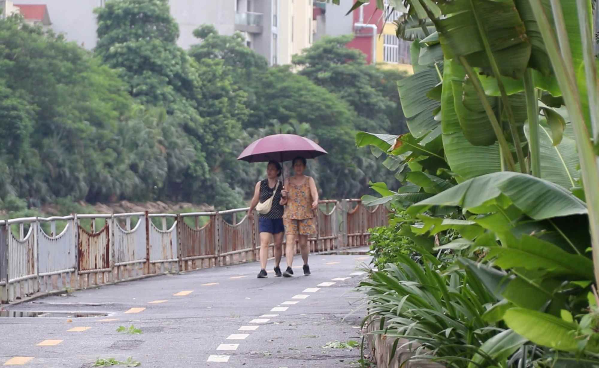 UBND TP Ha Noi quyet dinh phe duyet De an “Phuc hoi chat luong moi truong va phat trien he thong 4 song noi do gom: To Lich, Kim Nguu, Lu, Set”. Anh: Nguyen Linh