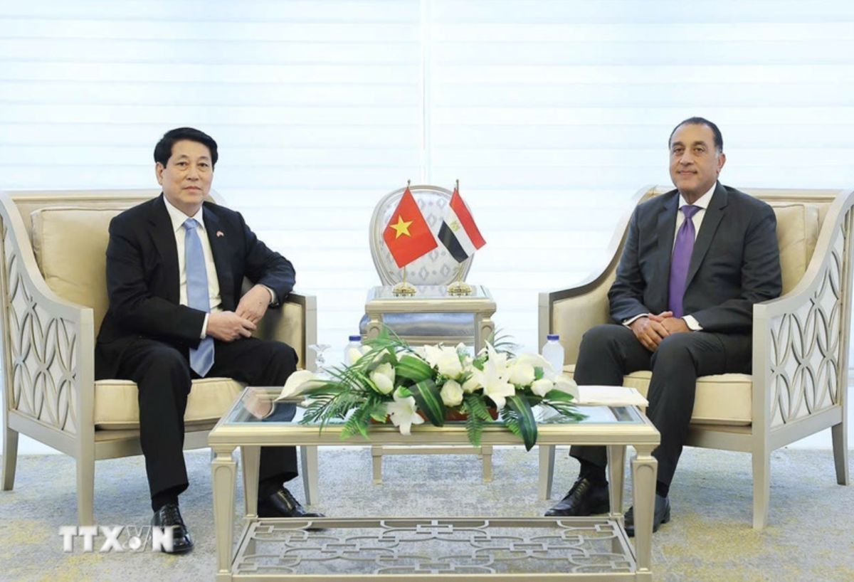 Politburo member and President Luong Cuong met with Egyptian Prime Minister Mostafa Madbouly. Photo: VNA