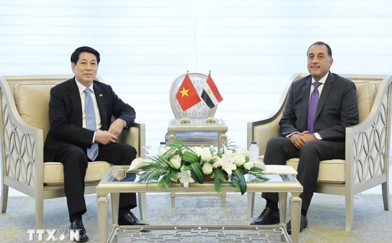 Politburo member and President Luong Cuong met with Egyptian Prime Minister Mostafa Madbouly. Photo: VNA